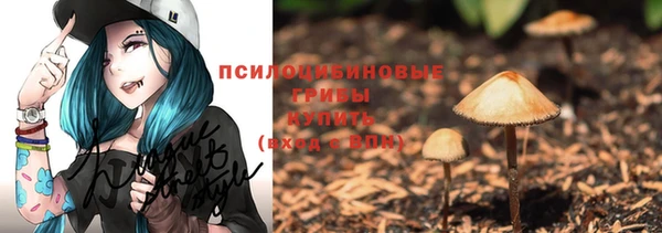 PSILOCYBIN Володарск