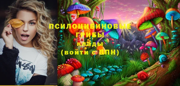 PSILOCYBIN Володарск