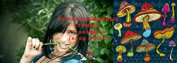 PSILOCYBIN Володарск