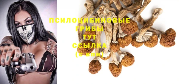 МДПВ Волоколамск