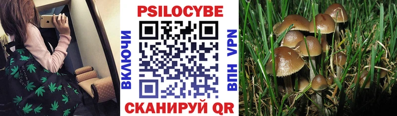 Купить закладки  Лакинск  Галлюциногенные грибы мицелий 
